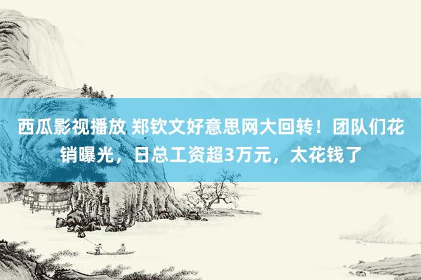西瓜影视播放 郑钦文好意思网大回转！团队们花销曝光，日总工资超3万元，太花钱了