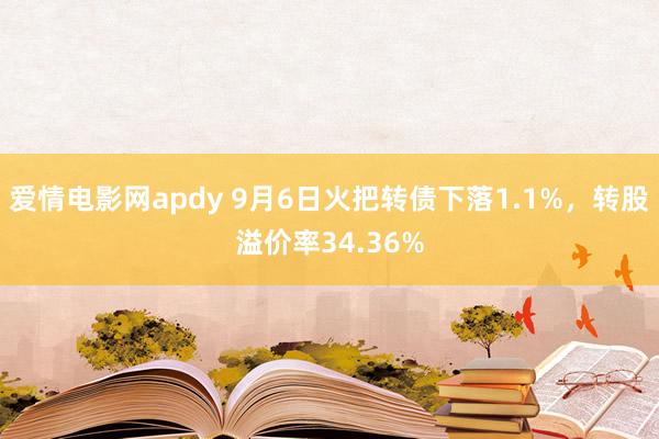 爱情电影网apdy 9月6日火把转债下落1.1%，转股溢价率34.36%