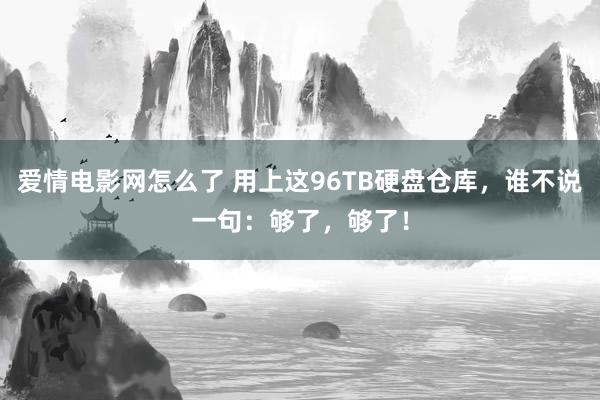 爱情电影网怎么了 用上这96TB硬盘仓库，谁不说一句：够了，够了！