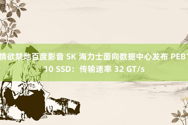情欲禁地百度影音 SK 海力士面向数据中心发布 PEB110 SSD：传输速率 32 GT/s