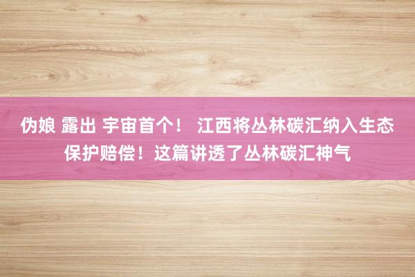 伪娘 露出 宇宙首个！ 江西将丛林碳汇纳入生态保护赔偿！这篇讲透了丛林碳汇神气