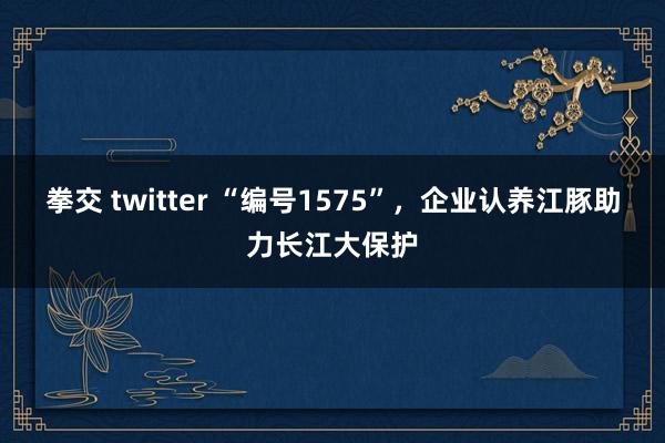 拳交 twitter “编号1575”，企业认养江豚助力长江大保护