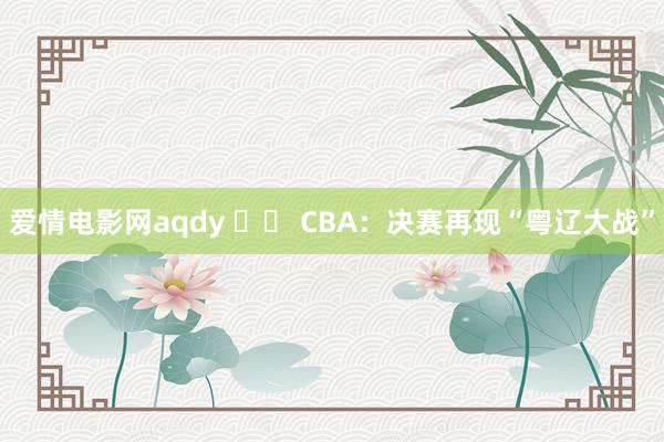 爱情电影网aqdy 		 CBA：决赛再现“粤辽大战”