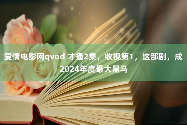 爱情电影网qvod 才播2集，收视第1，这部剧，成2024年度最大黑马