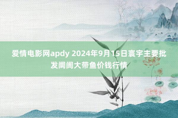 爱情电影网apdy 2024年9月15日寰宇主要批发阛阓大带鱼价钱行情