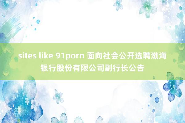 sites like 91porn 面向社会公开选聘渤海银行股份有限公司副行长公告