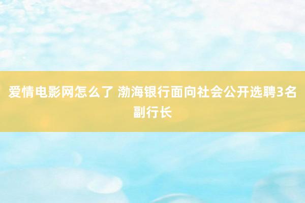 爱情电影网怎么了 渤海银行面向社会公开选聘3名副行长