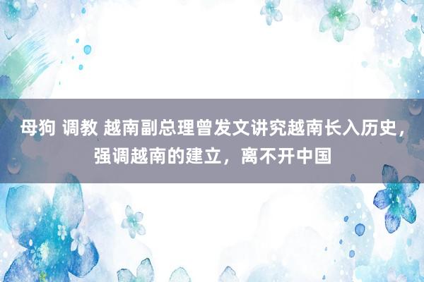 母狗 调教 越南副总理曾发文讲究越南长入历史，强调越南的建立，离不开中国