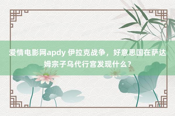 爱情电影网apdy 伊拉克战争，好意思国在萨达姆宗子乌代行宫发现什么？