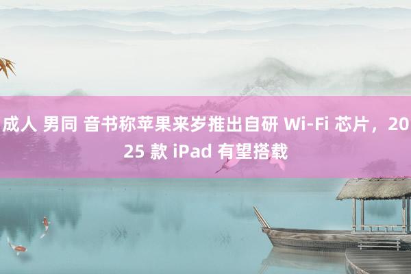 成人 男同 音书称苹果来岁推出自研 Wi-Fi 芯片，2025 款 iPad 有望搭载