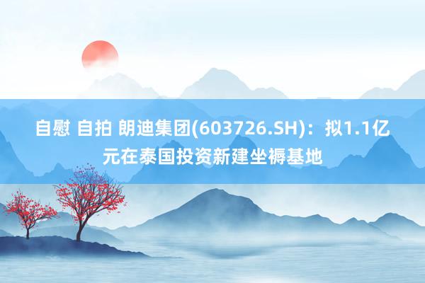 自慰 自拍 朗迪集团(603726.SH)：拟1.1亿元在泰国投资新建坐褥基地