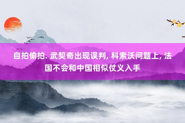 自拍偷拍. 武契奇出现误判， 科索沃问题上， 法国不会和中国相似仗义入手