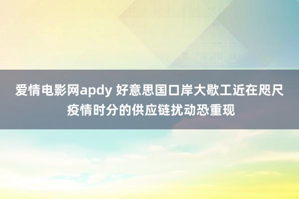 爱情电影网apdy 好意思国口岸大歇工近在咫尺 疫情时分的供应链扰动恐重现