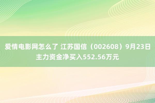 爱情电影网怎么了 江苏国信（002608）9月23日主力资金净买入552.56万元