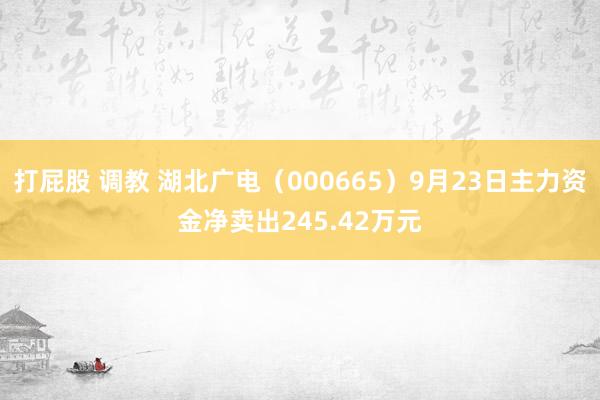 打屁股 调教 湖北广电（000665）9月23日主力资金净卖出245.42万元