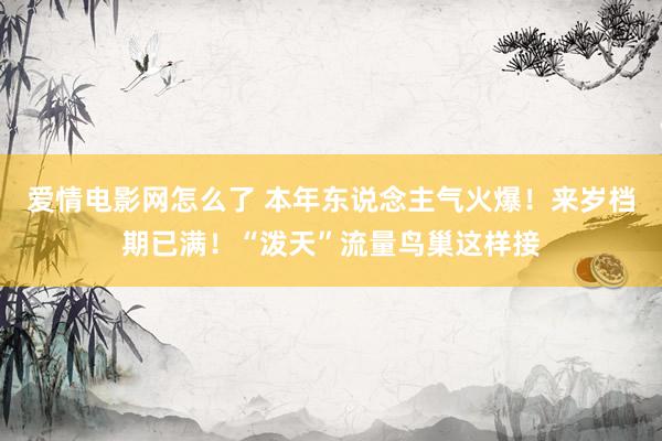 爱情电影网怎么了 本年东说念主气火爆！来岁档期已满！“泼天”流量鸟巢这样接