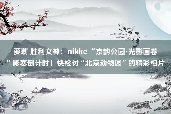 萝莉 胜利女神：nikke “京韵公园·光影画卷”影赛倒计时！快检讨“北京动物园”的精彩相片