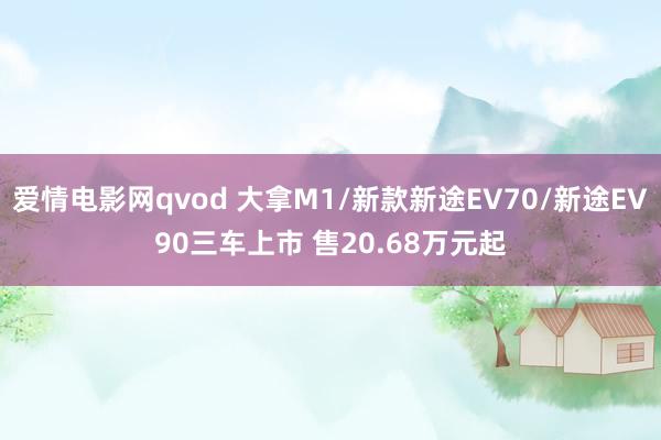 爱情电影网qvod 大拿M1/新款新途EV70/新途EV90三车上市 售20.68万元起