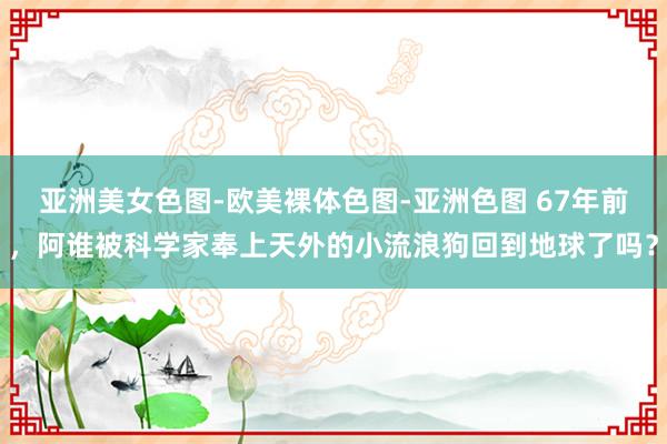 亚洲美女色图-欧美裸体色图-亚洲色图 67年前，阿谁被科学家奉上天外的小流浪狗回到地球了吗？