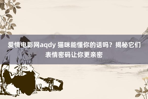 爱情电影网aqdy 猫咪能懂你的话吗？揭秘它们表情密码让你更亲密