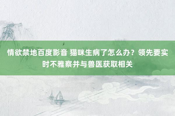 情欲禁地百度影音 猫咪生病了怎么办？领先要实时不雅察并与兽医获取相关