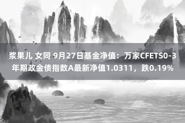 浆果儿 女同 9月27日基金净值：万家CFETS0-3年期政金债指数A最新净值1.0311，跌0.19%