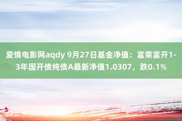 爱情电影网aqdy 9月27日基金净值：富荣富开1-3年国开债纯债A最新净值1.0307，跌0.1%