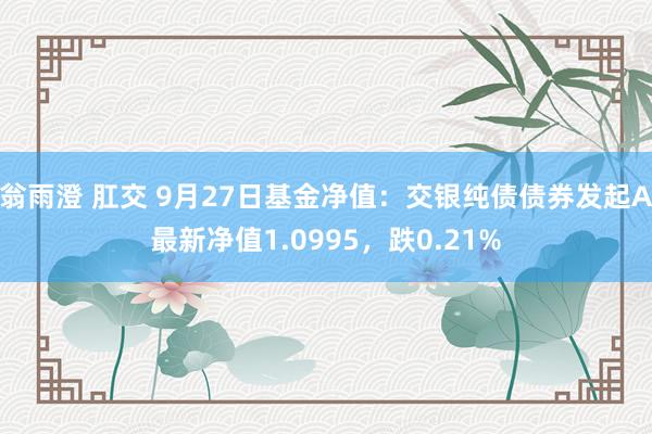 翁雨澄 肛交 9月27日基金净值：交银纯债债券发起A最新净值1.0995，跌0.21%