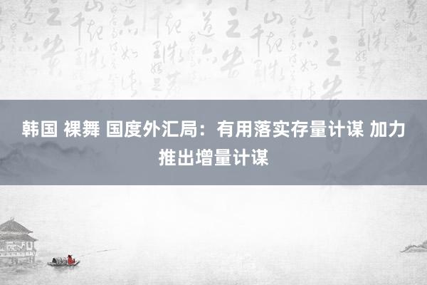 韩国 裸舞 国度外汇局：有用落实存量计谋 加力推出增量计谋