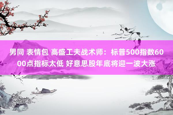 男同 表情包 高盛工夫战术师：标普500指数6000点指标太低 好意思股年底将迎一波大涨