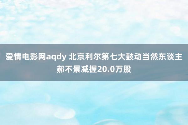 爱情电影网aqdy 北京利尔第七大鼓动当然东谈主郝不景减握20.0万股