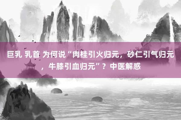 巨乳 乳首 为何说“肉桂引火归元，砂仁引气归元，牛膝引血归元”？中医解惑