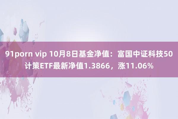 91porn vip 10月8日基金净值：富国中证科技50计策ETF最新净值1.3866，涨11.06%