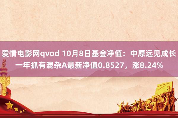 爱情电影网qvod 10月8日基金净值：中原远见成长一年抓有混杂A最新净值0.8527，涨8.24%