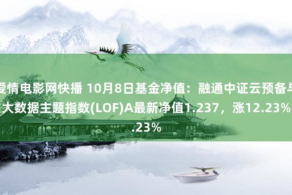 爱情电影网快播 10月8日基金净值：融通中证云预备与大数据主题指数(LOF)A最新净值1.237，涨12.23%