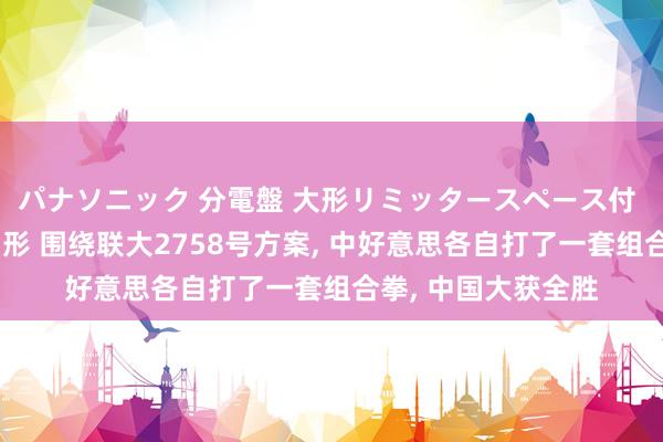 パナソニック 分電盤 大形リミッタースペース付 露出・半埋込両用形 围绕联大2758号方案， 中好意思各自打了一套组合拳， 中国大获全胜