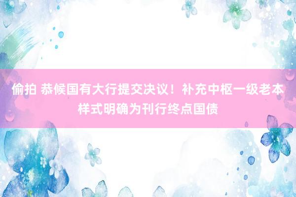 偷拍 恭候国有大行提交决议！补充中枢一级老本样式明确为刊行终点国债