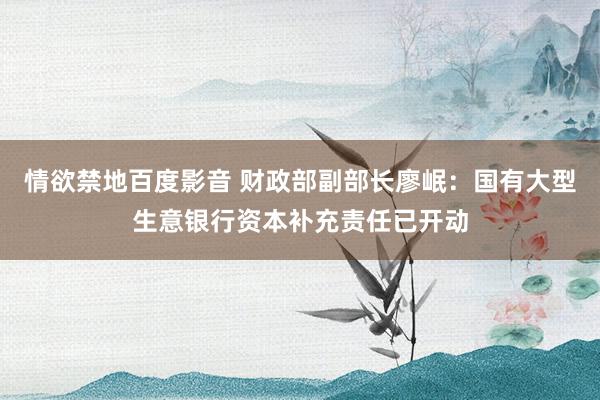情欲禁地百度影音 财政部副部长廖岷：国有大型生意银行资本补充责任已开动