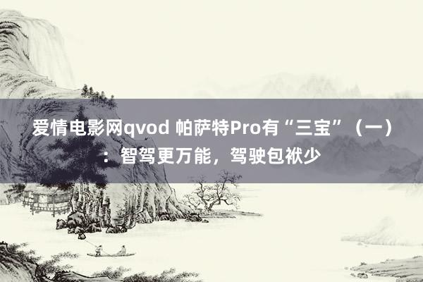 爱情电影网qvod 帕萨特Pro有“三宝”（一）：智驾更万能，驾驶包袱少