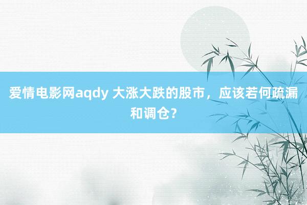 爱情电影网aqdy 大涨大跌的股市，应该若何疏漏和调仓？