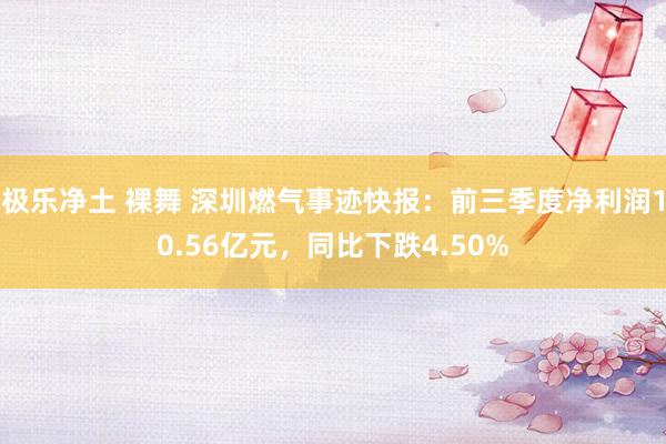 极乐净土 裸舞 深圳燃气事迹快报：前三季度净利润10.56亿元，同比下跌4.50%