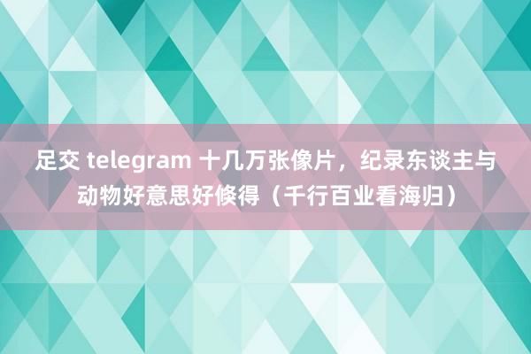 足交 telegram 十几万张像片，纪录东谈主与动物好意思好倏得（千行百业看海归）