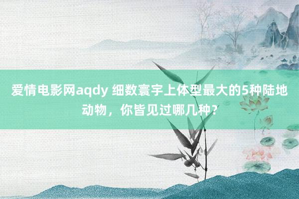 爱情电影网aqdy 细数寰宇上体型最大的5种陆地动物，你皆见过哪几种？