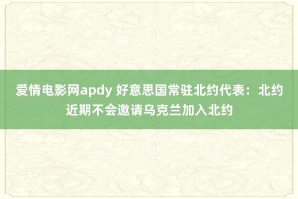 爱情电影网apdy 好意思国常驻北约代表：北约近期不会邀请乌克兰加入北约