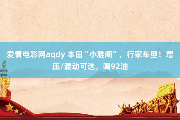 爱情电影网aqdy 本田“小雅阁”，行家车型！增压/混动可选，喝92油