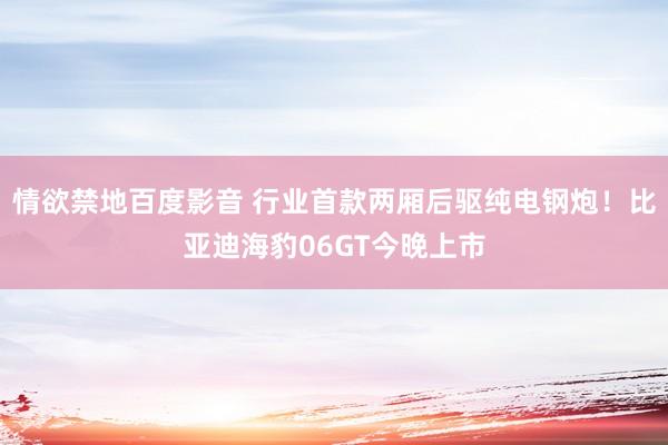情欲禁地百度影音 行业首款两厢后驱纯电钢炮！比亚迪海豹06GT今晚上市