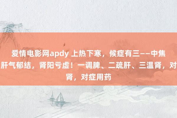 爱情电影网apdy 上热下寒，候症有三——中焦淤堵，肝气郁结，肾阳亏虚！一调脾、二疏肝、三温肾，对症用药