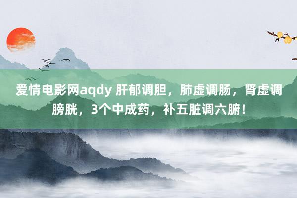 爱情电影网aqdy 肝郁调胆，肺虚调肠，肾虚调膀胱，3个中成药，补五脏调六腑！