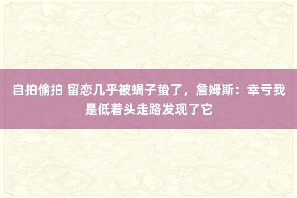 自拍偷拍 留恋几乎被蝎子蛰了，詹姆斯：幸亏我是低着头走路发现了它