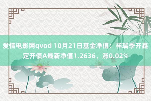 爱情电影网qvod 10月21日基金净值：祥瑞季开鑫定开债A最新净值1.2636，涨0.02%